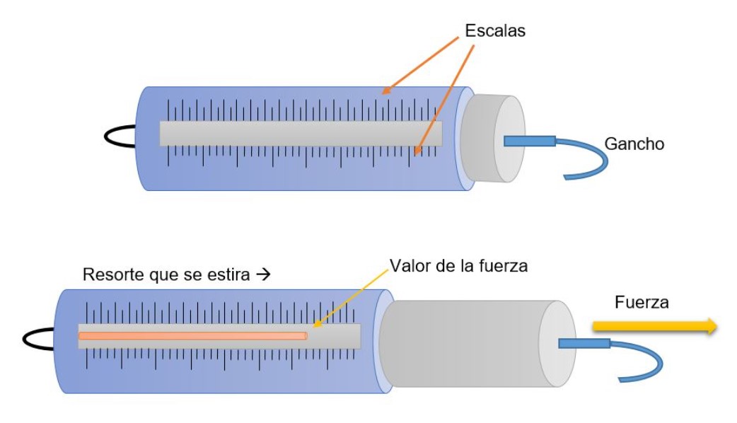 El Dinamómetro: Midiendo Fuerzas