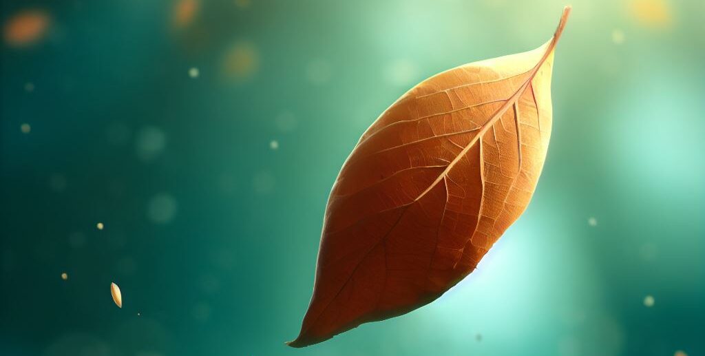 the gravity force, a leaf falling
