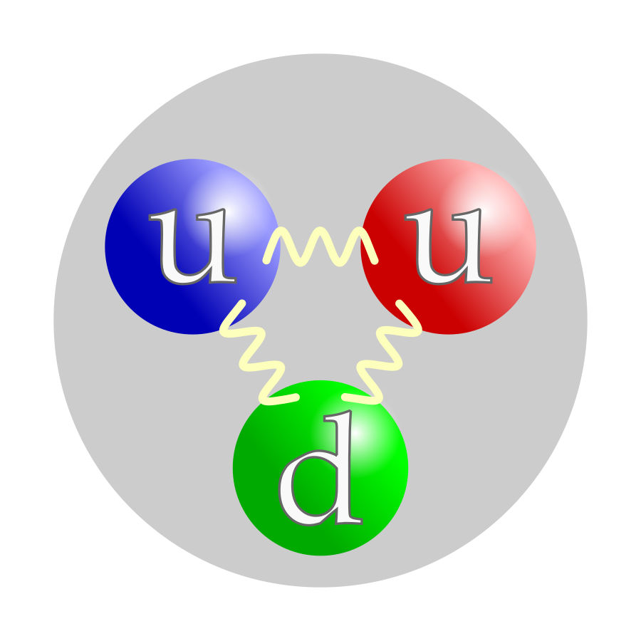 A proton is composed of two up quarks, one down quark, and the gluons that mediate the forces "binding" them together. The color assignment of individual quarks is arbitrary, but all three colors must be present; red, blue and green are used as an analogy to the primary colors that together produce a white color.