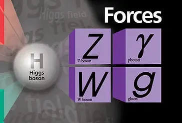 Fundamental forces in the standard model