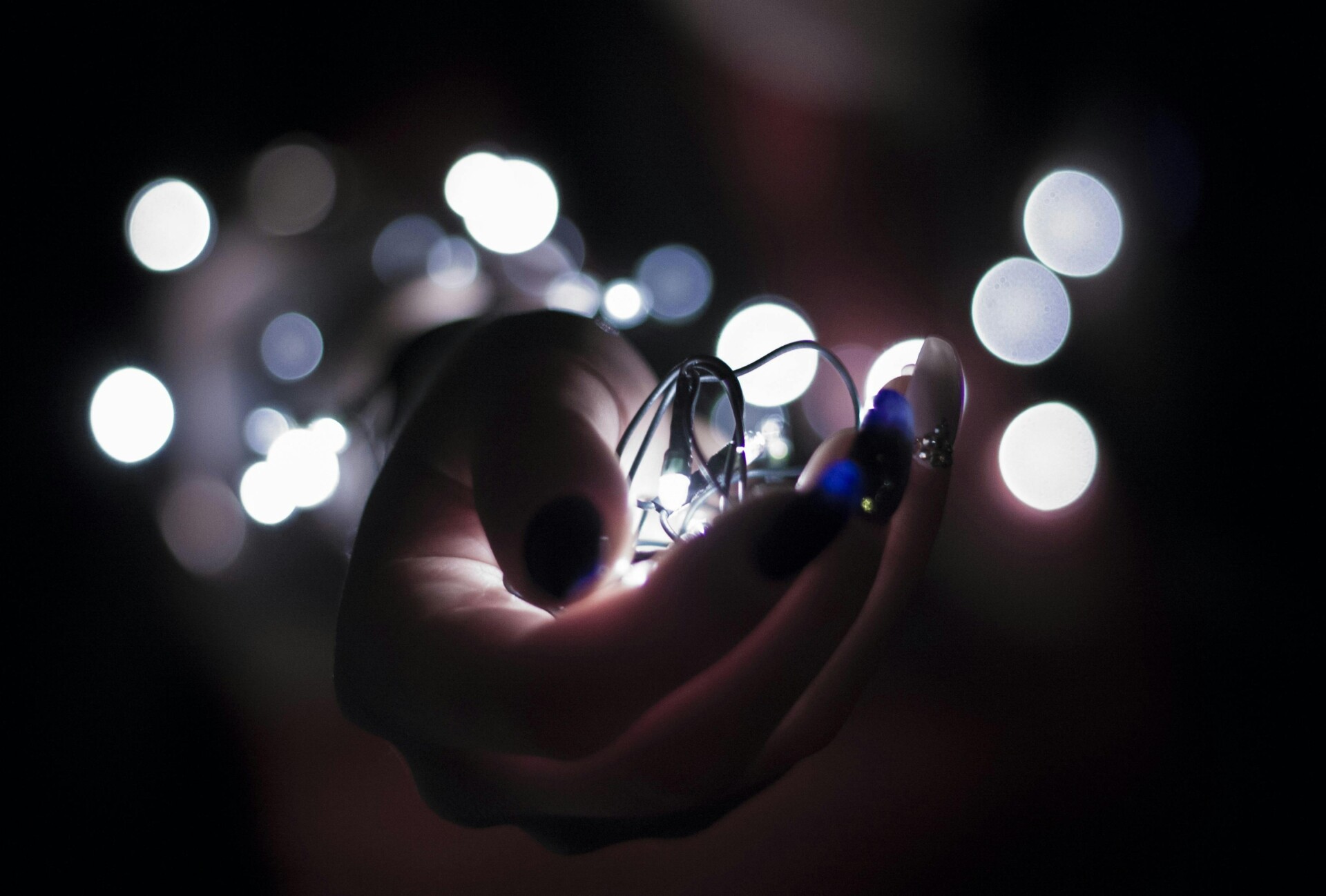 A Person Holding White String Lights