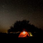 En el bosque en una noche llena de estrellas en el universo