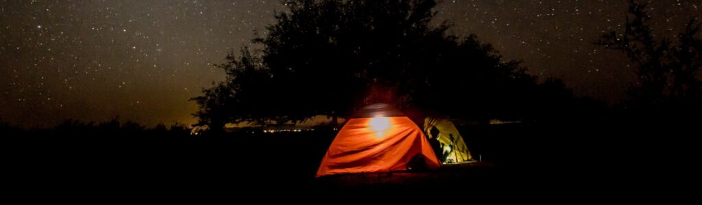 En el bosque en una noche llena de estrellas en el universo