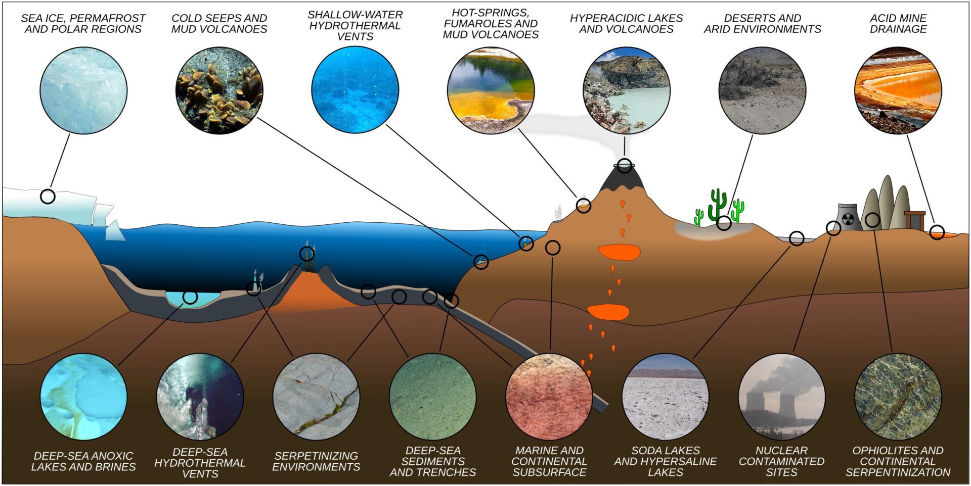 Diversidad de ambientes extremos en la Tierra donde pueden sobrevivir diversos organismos.