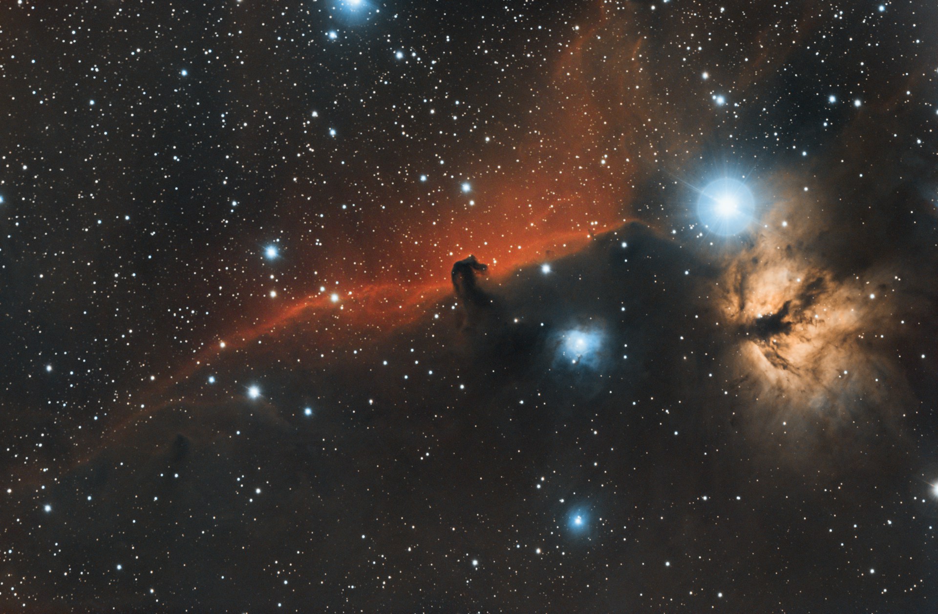 The Horse head Nebula