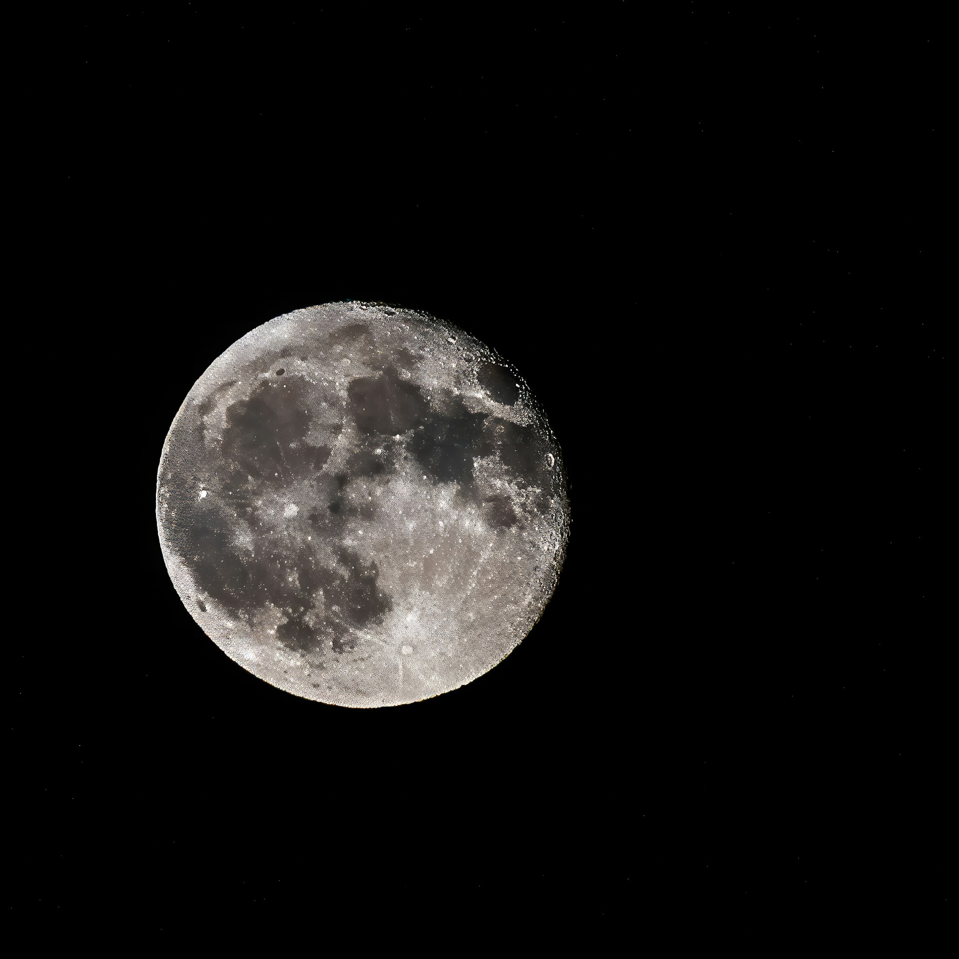 La Luna, Nuestra Compañera