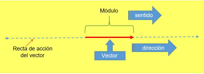 Recta de acción para la dirección de un vector, muestra el módulo, sentido y dirección del vector.