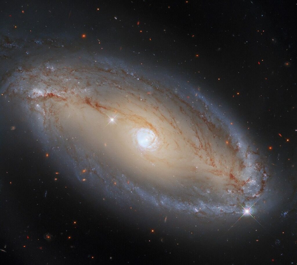Seyfert galaxies, first identified in 1943 by American astronomer Carl Seyfert, are the most common active galaxies and also exhibit the lowest energies. All Seyferts look like normal galaxies in visible light, but they emit considerable infrared radiation. When observed in the infrared, some reveal bright emission from the donut-shaped torus. Some also emit X-rays. Seyfert galaxies tend to have lower radio luminosities, although some produce radio jets.