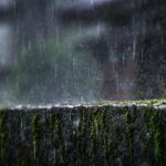 gotitas de lluvia cayendo sobre una piedra