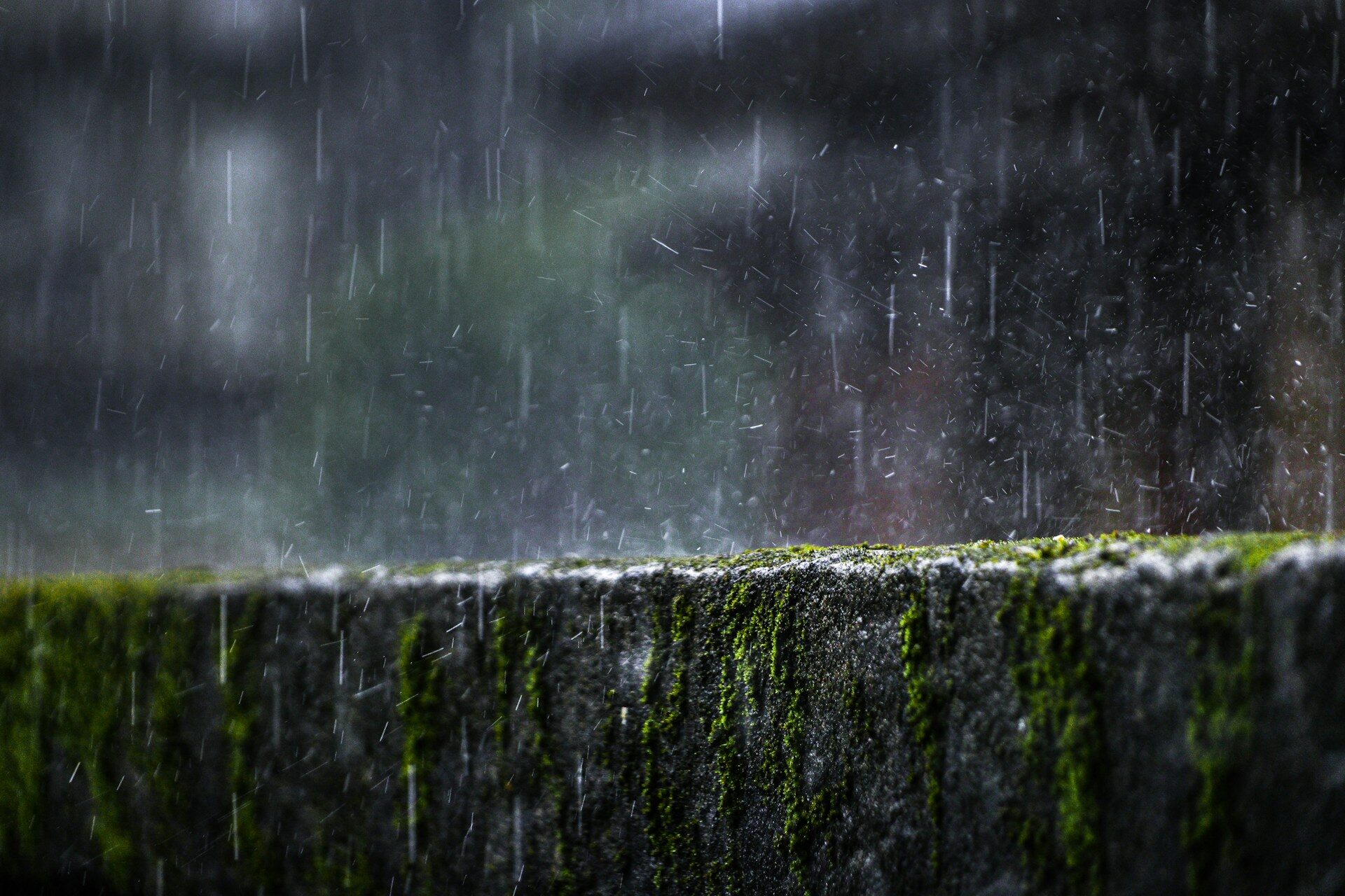 gotitas de lluvia cayendo sobre una piedra