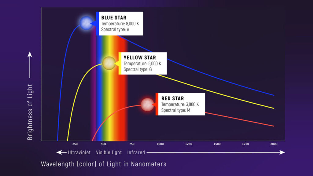 Graphs of brightness vs. wavelength of three objects of different temperature. A blackbody curve is a type of continuous spectrum that is directly related to the temperature of an object. A star with a temperature of 8,000 kelvins (roughly 8,000 degrees Celsius or 14,000 degrees Fahrenheit) is brighter and looks bluer than a star that is 3,000 K (2,700°C or 5,000°F ), which is dimmer and redder. A blackbody spectrum can be used to calculate the temperature of an object. (Although stars are not perfect blackbodies, the blackbody curve describes the shape of a star’s overall spectrum quite well.)