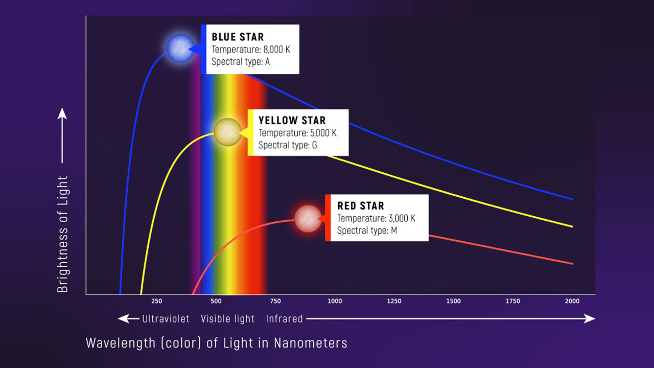 Graphs of brightness vs. wavelength of three objects of different temperature. A blackbody curve is a type of continuous spectrum that is directly related to the temperature of an object. A star with a temperature of 8,000 kelvins (roughly 8,000 degrees Celsius or 14,000 degrees Fahrenheit) is brighter and looks bluer than a star that is 3,000 K (2,700°C or 5,000°F ), which is dimmer and redder. A blackbody spectrum can be used to calculate the temperature of an object. (Although stars are not perfect blackbodies, the blackbody curve describes the shape of a star’s overall spectrum quite well.)